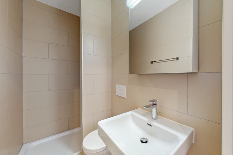 Logement moderne (7)