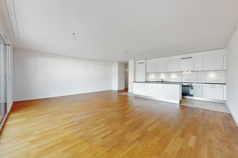 Logement moderne (1)