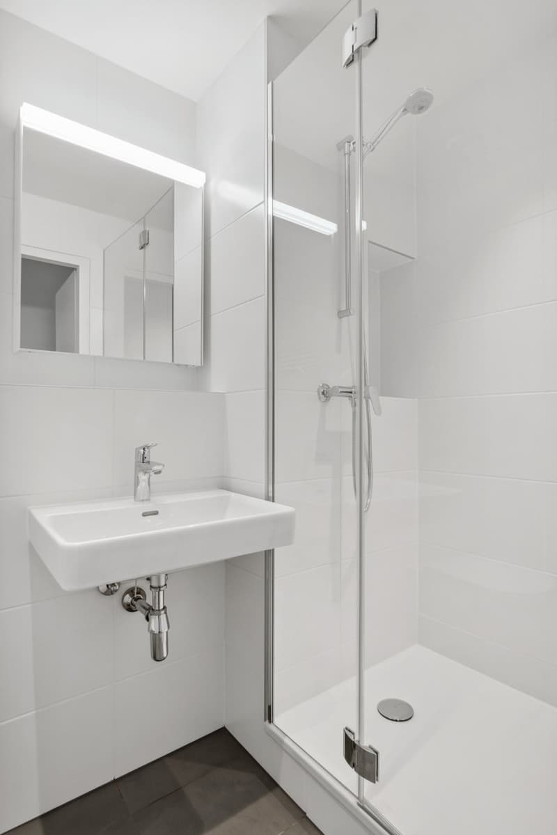 Duplex en attique (6)