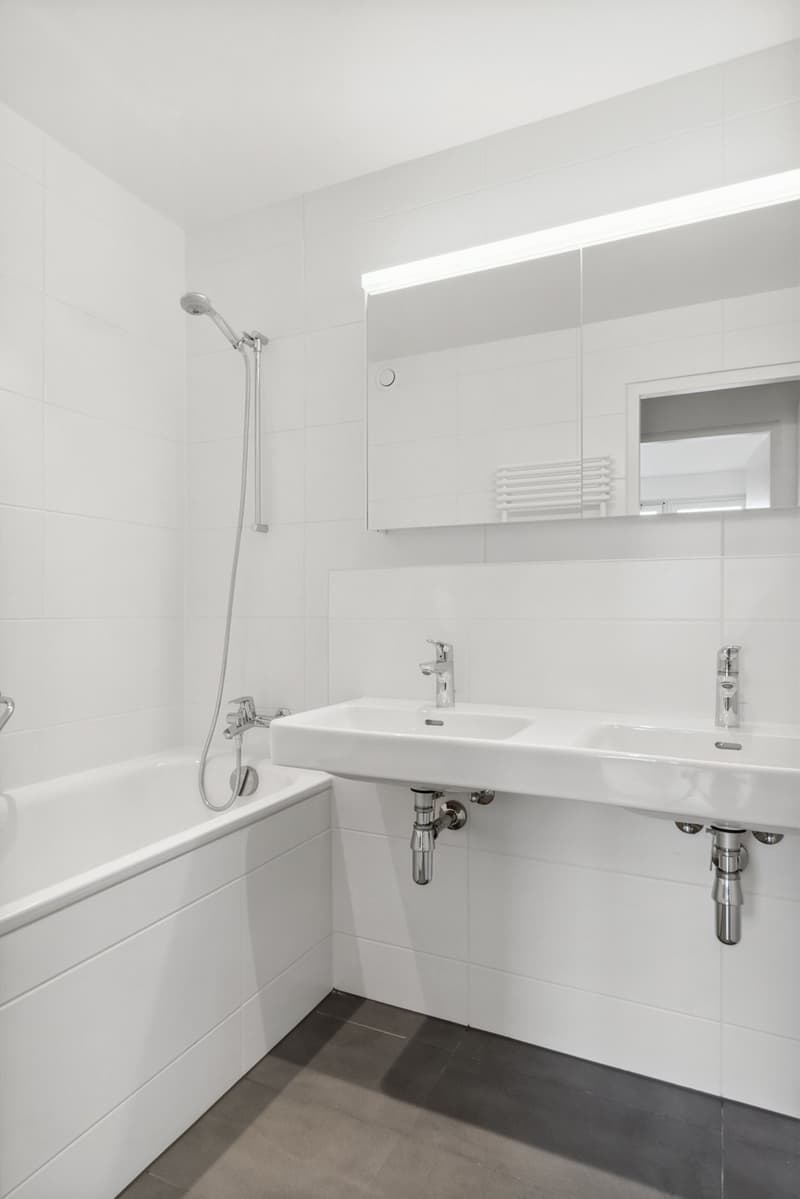 Duplex en attique (7)