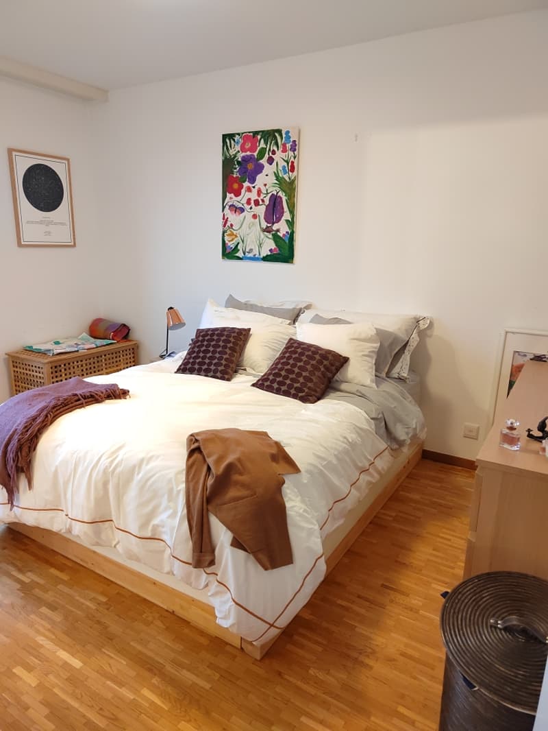 Magnifique appartement à deux pas de l'Arve ! (4)