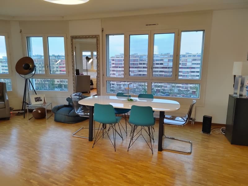Magnifique appartement à deux pas de l'Arve ! (3)