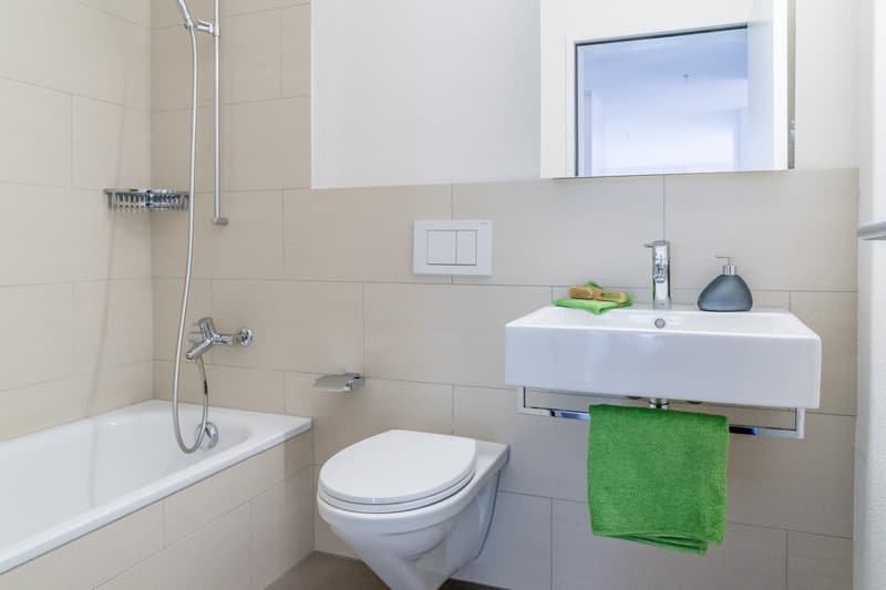 Attraktive Wohnung an zentraler Lage (3)