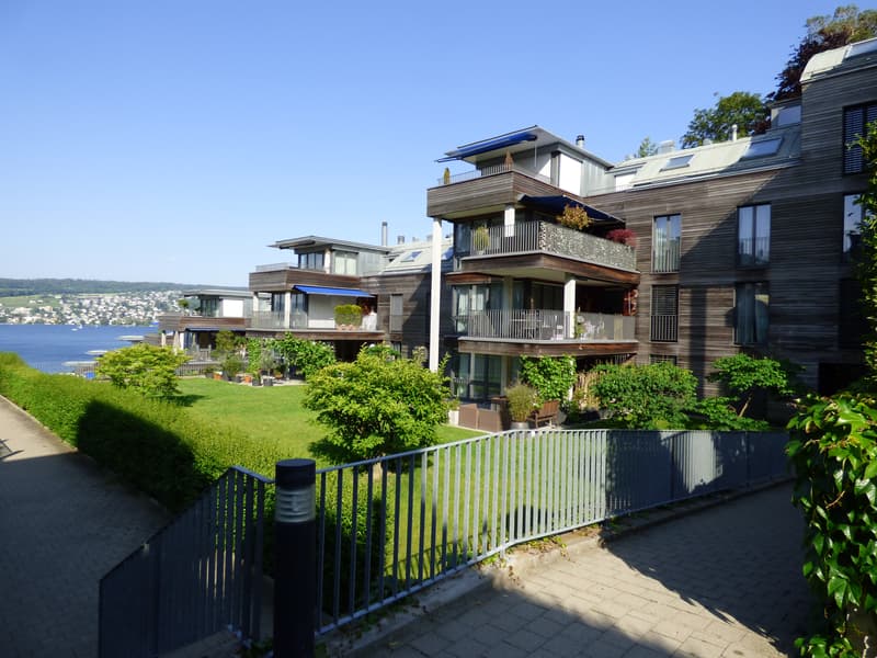 Einmalige Dachwohnung am Zürichsee (1)