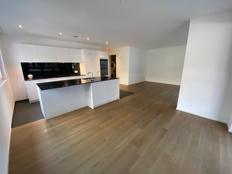 Moderne Wohnung zu vermieten ! (2)