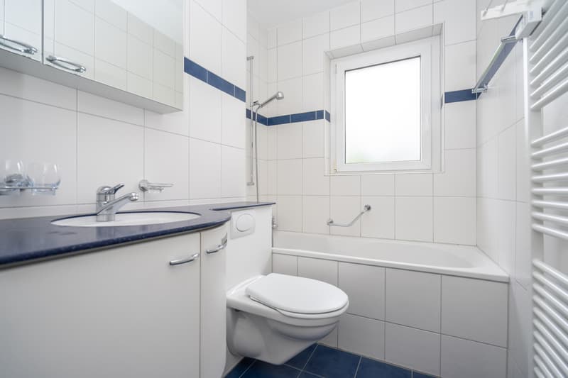 Wohnen im beliebten Fischermätteli-Quartier (6)