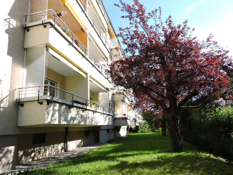 Wohnen im beliebten Fischermätteli-Quartier (1)