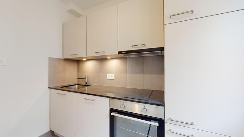 Charmant appartement de 1,5 pièce au cur de Fribourg (2)