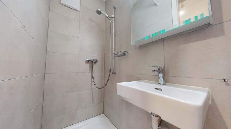Charmant appartement de 1,5 pièce au cur de Fribourg (6)