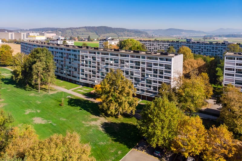 Familienwohnung im Grünen (1)