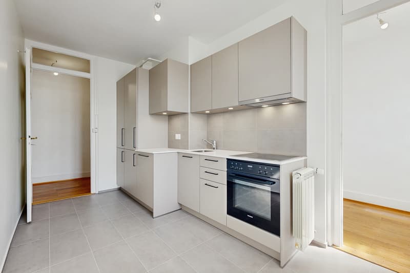 Logement traversant entièrement rénové (2)