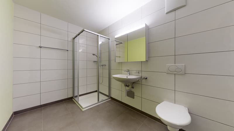Schickes Studio im Zentrum von Oensingen! (5)