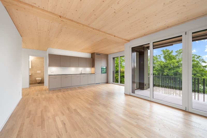 Neubauwohnung direkt am Milchbuck (4)
