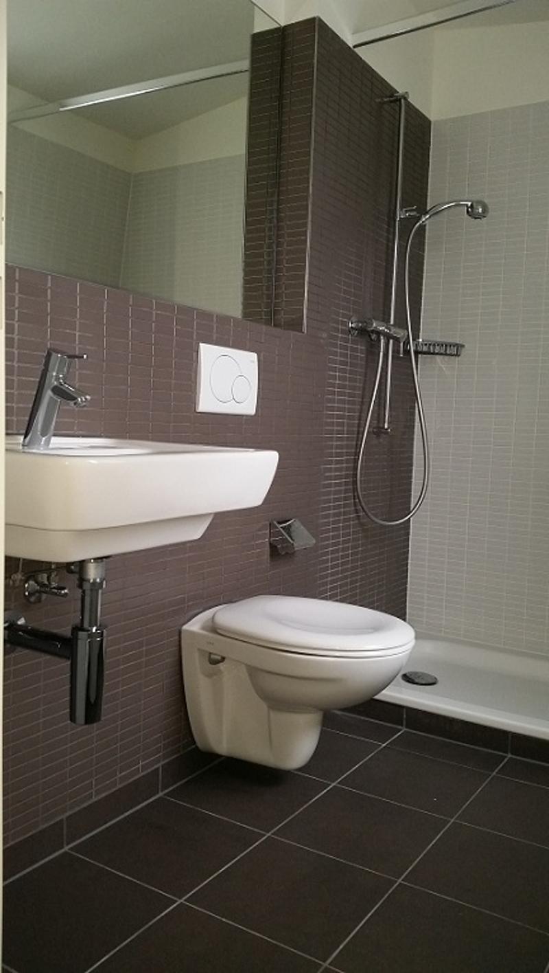Moderne Wohnung auf der Allschwiler Höhe (4)