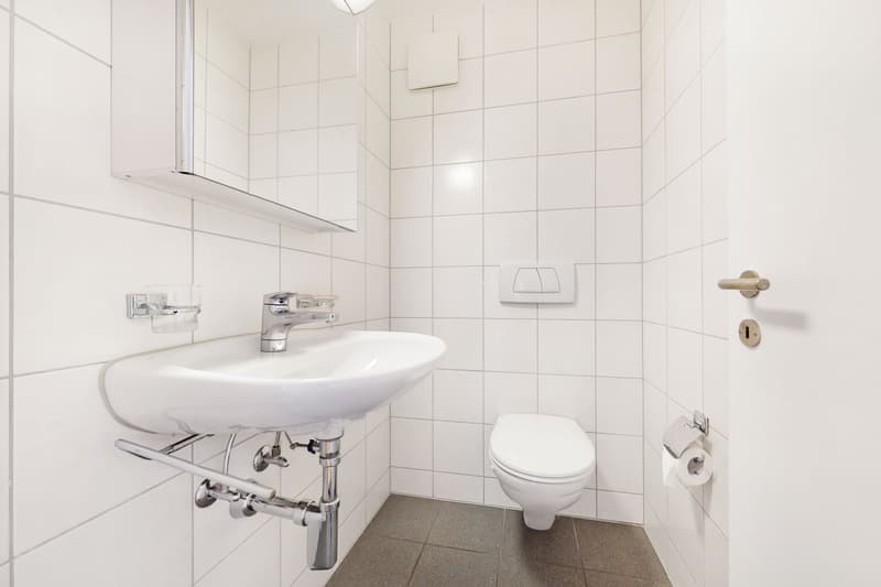 Wohnen im Szene-Quartier "Züri-West" (8)