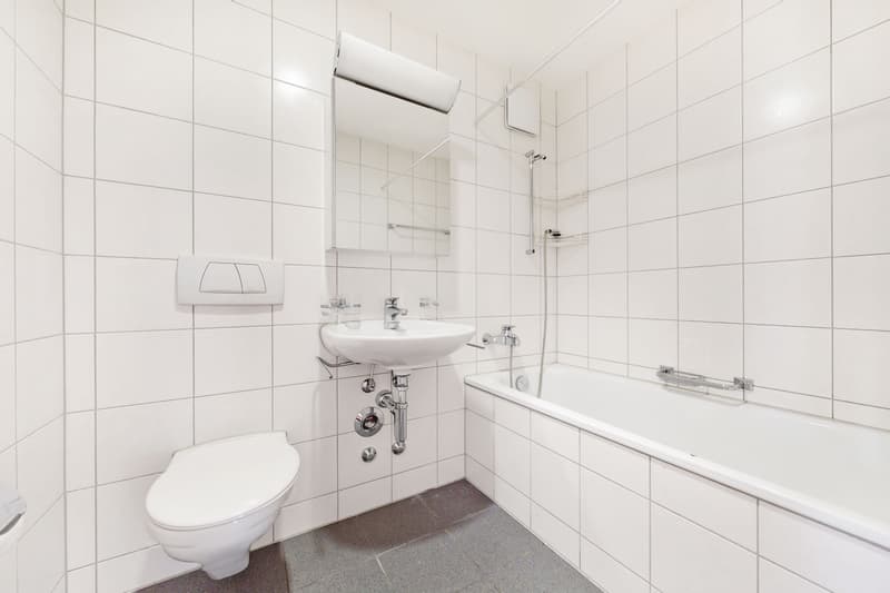 Wohnen im Szene-Quartier "Züri-West" (9)