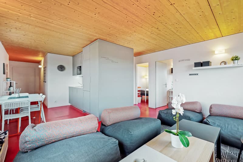 Spacieux appartement meublé pour étudiants ! (7)