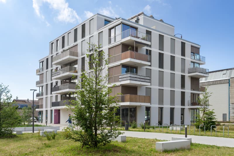 Magnifique duplex à Ecublens ! (1)