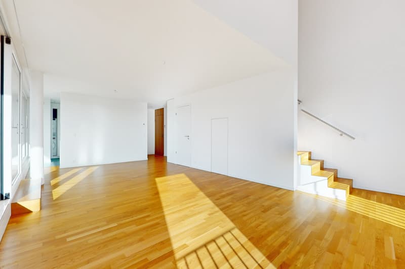 Magnifique duplex à Ecublens ! (5)