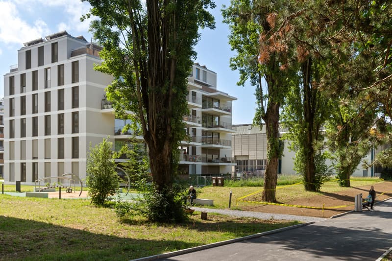 Magnifique duplex à Ecublens ! (2)