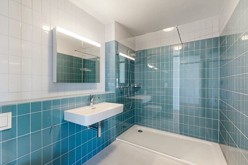 Auf der Suche nach einer modernen und zentralen Wohnung? (12)