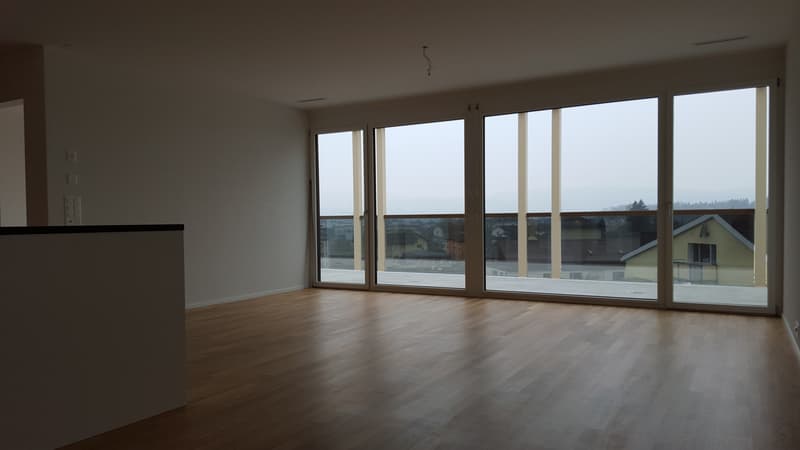 Traumhafte Attikawohnung an zentraler Lage (4)