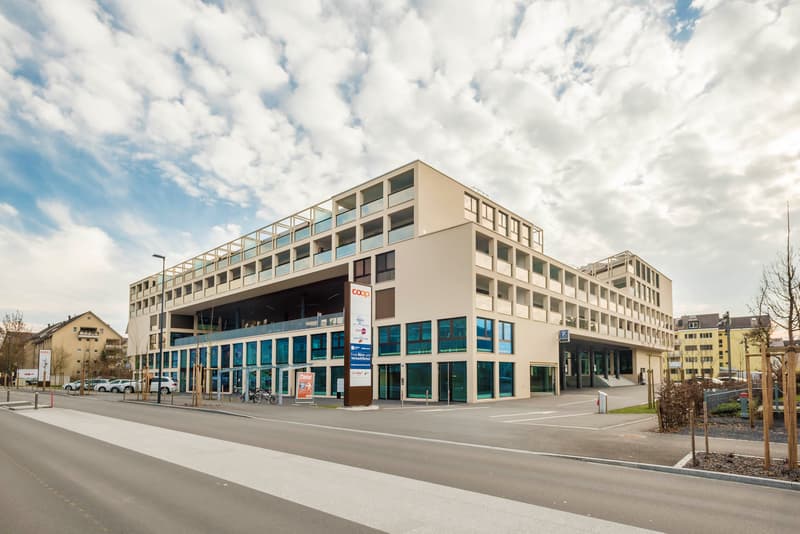 Traumhafte Attikawohnung an zentraler Lage (1)