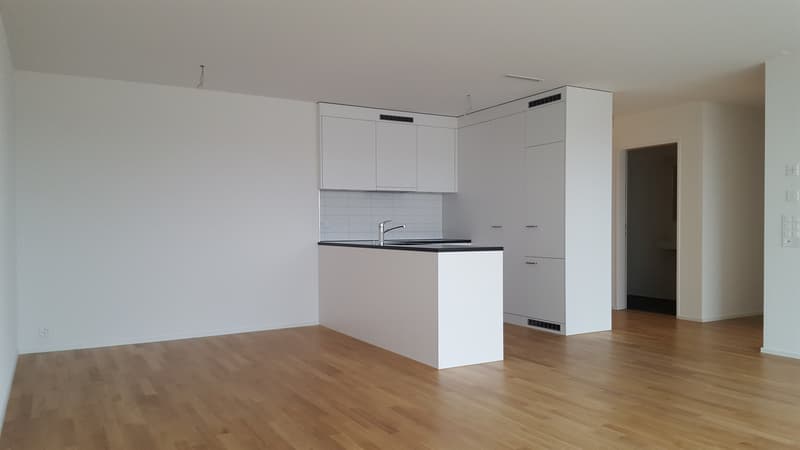 Traumhafte Attikawohnung an zentraler Lage (3)