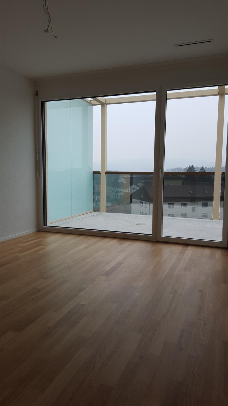 Traumhafte Attikawohnung an zentraler Lage (6)