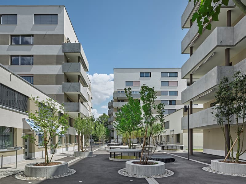 Tolle Wohnung an äusserst zentraler Lage mit guter Verbindung! (3)