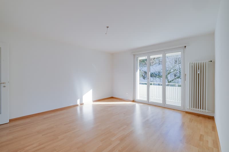 Charmante Wohnung Nähe Lindenplatz (4)