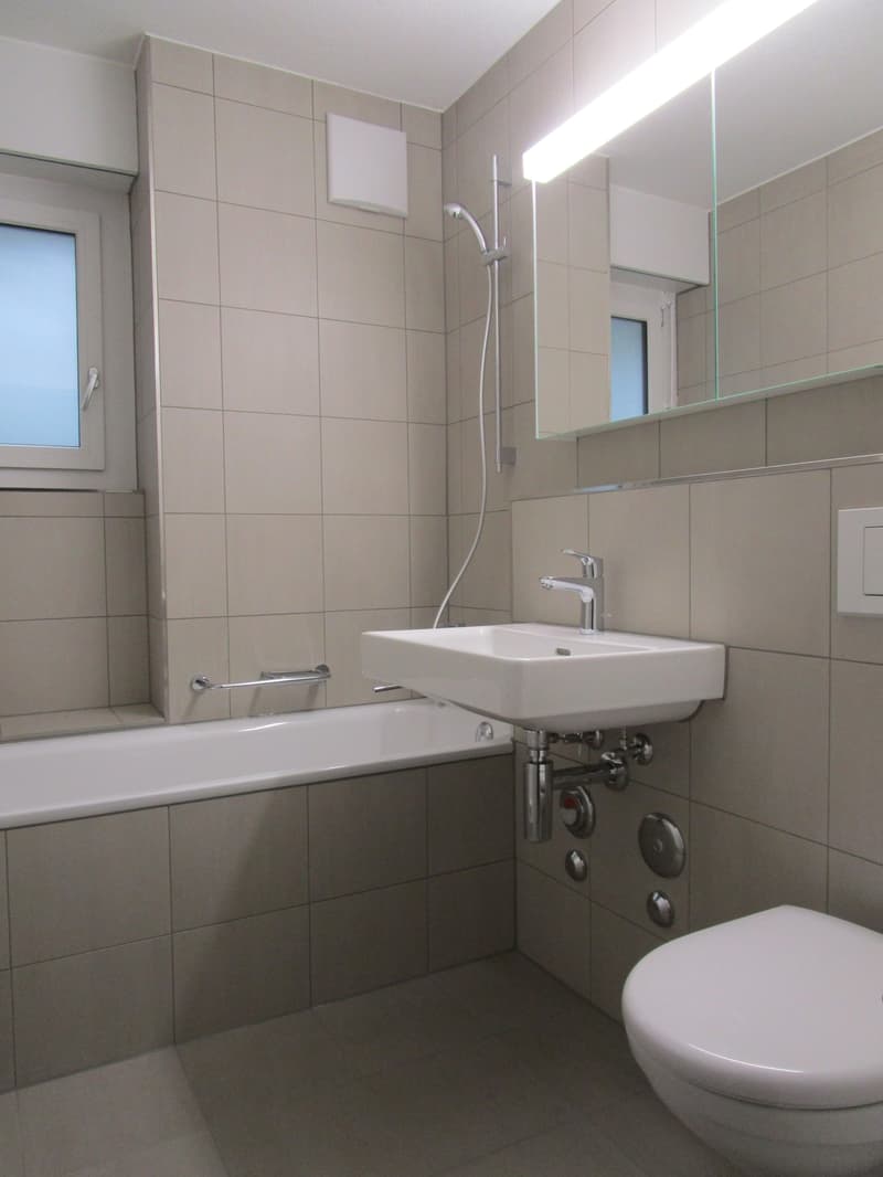 Attraktive Wohnung mit Blick ins schöne Sihltal! (3)