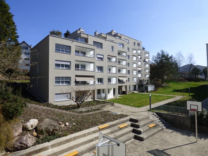 Attraktive Wohnung mit Blick ins schöne Sihltal! (1)