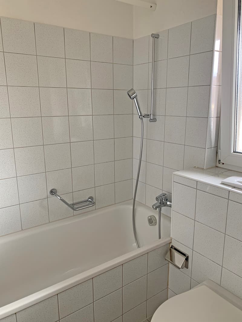 Schöne 3-Zimmerwohnung an zentraler Lage (5)