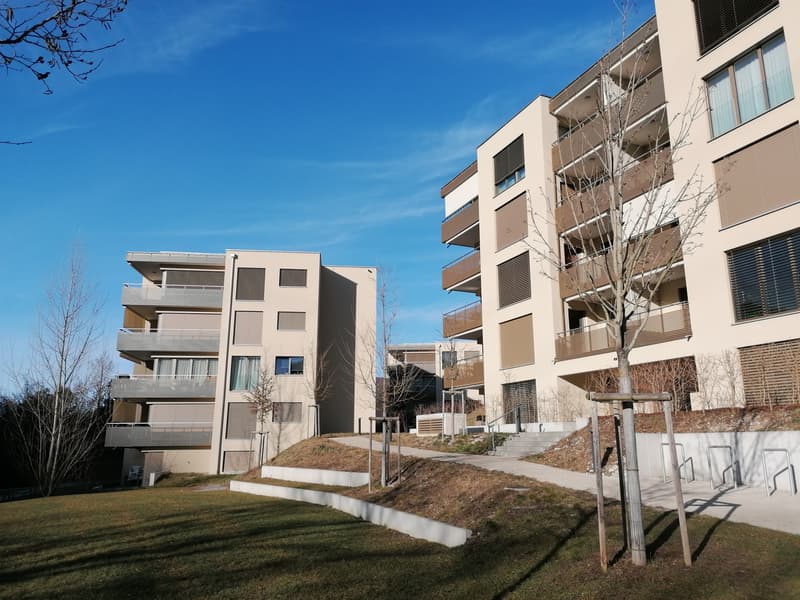 Einstellplatz an der Furlenstrasse (1)