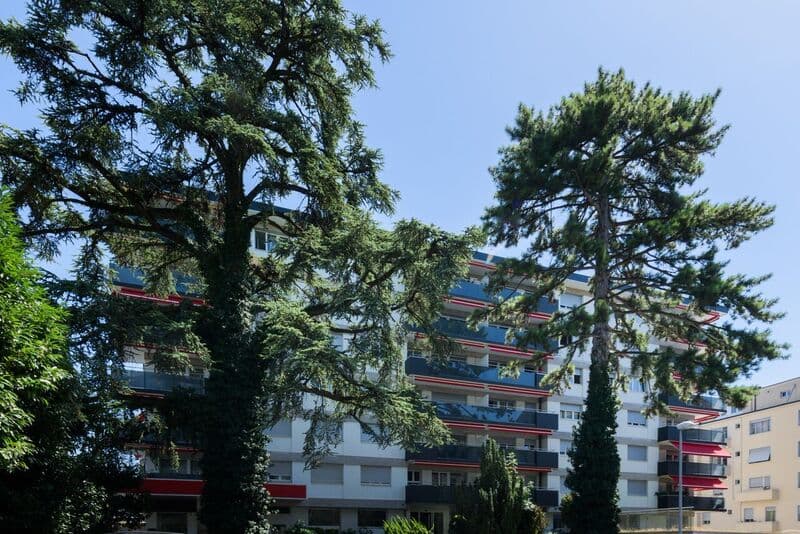 A deux pas du lac ! (2)