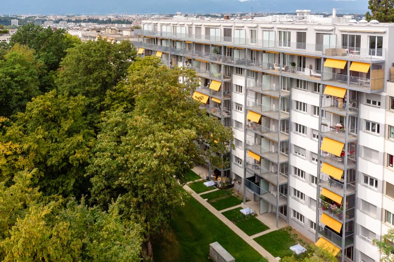 De la quiétude pour ce charmant logement à Champel (1)