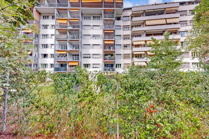 De la quiétude pour ce charmant logement à Champel (2)