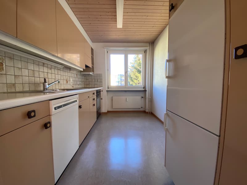 Ruhiges, sonniges Wohnquartier (4)