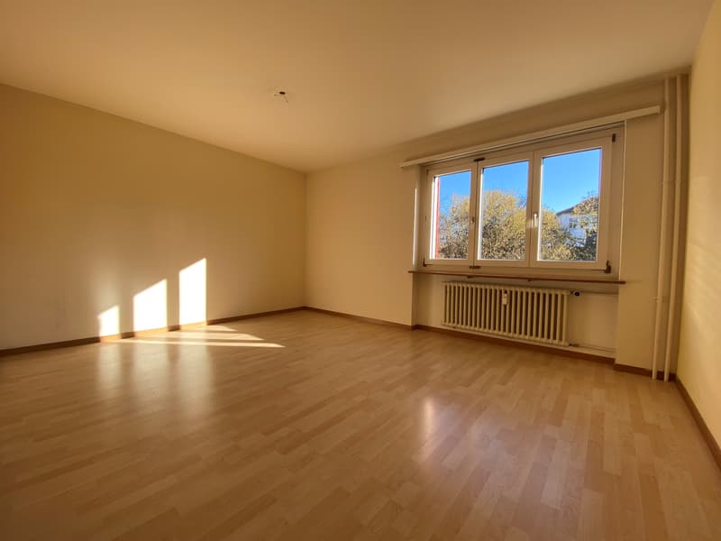 Ruhiges, sonniges Wohnquartier (3)