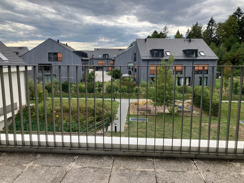 Votre logement à Epalinges ! (6)