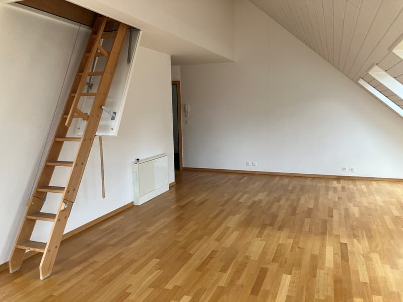 Votre logement à Epalinges ! (3)