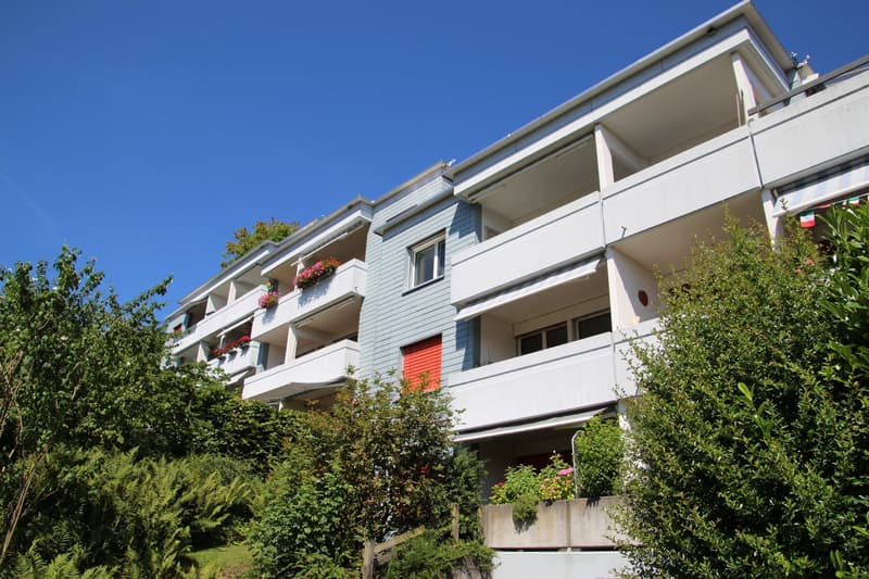 Einstellplatz in Horgen vermieten (1)