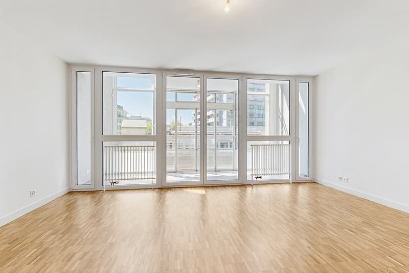 Duplex dans le quartier de la Jonction (6)