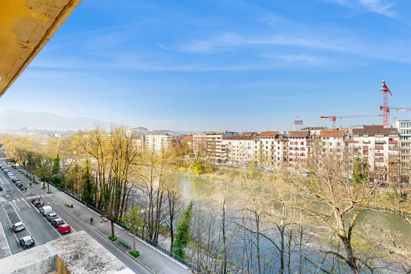 Prenez de la hauteur en surplombant les quais de l'Arve! (10)