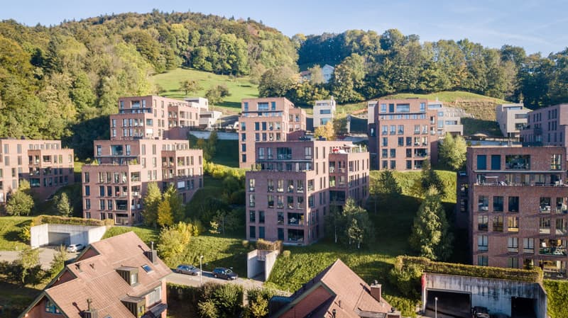 Ihr neues Zuhause im Rosenbüchel (1)