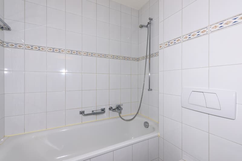 Logement dans un quartier calme et verdoyant ! (6)