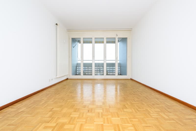 Logement dans un quartier calme et verdoyant ! (3)