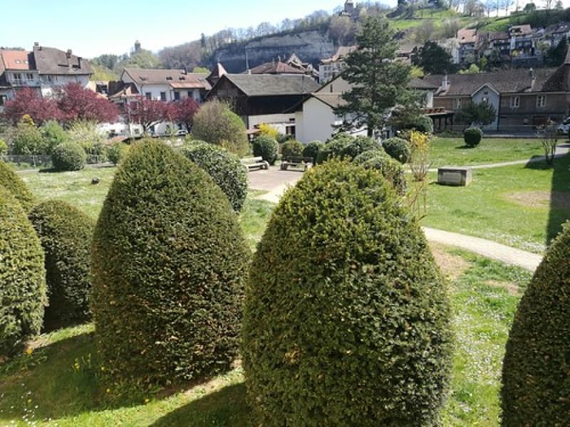 Charmant 3.5 pièces en vieille-ville de Fribourg! (7)