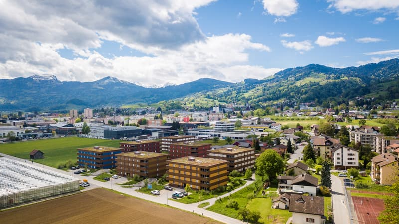 Blick ins Grüne (2)